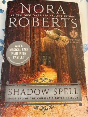 Shadow Spell" by Nora Roberts, which is  2 book in The Cousins O'Dwyer Trilogy.